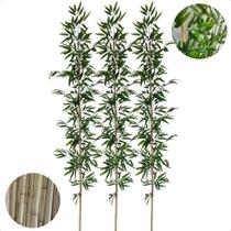 Kit 3 Hastes de Bambu Mosso Artificial 2 Metros Grande Decoração Kit 3 Hastes de Bambu Mosso Artificial 2 Metros Grande Decoração