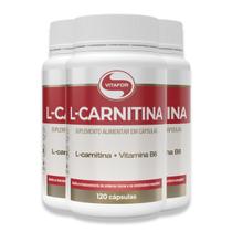 Kit 3 L Carnitina B6 Vitafor 120 Cápsulas