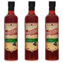 Kit 3 Licores Jabuticaba Paratiense 500 ml Pai Avo Namorada Creme Sabores Garrafa Fino Nacional Tradicional Sobremesas Kit 3 Licores Jabuticaba Paratiense 500 ml Pai Avo Namorada Creme Sabores Garrafa Fino Nacional Tradicional Sobremesas