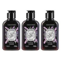 Kit 3 Limpador Concentrado Essência Lavanda 120ml Giorno Kit 3 Limpador Concentrado Essência Lavanda 120ml Giorno