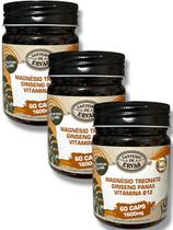 Kit 3 Magnésio Treonato 500mg Ginseng Panax 100mg Vitamina B12 1000mg Canteiro de Ervas Kit 3 Magnésio Treonato 500mg Ginseng Panax 100mg Vitamina B12 1000mg Canteiro de Ervas