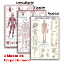 Kit 3 Mapas - Sistema Muscular - Esquelético 1 - Esquelético 2 - 120x90cm