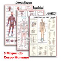 Kit 3 Mapas - Sistema Muscular - Esquelético 1 - Esquelético 2 - 120x90cmv