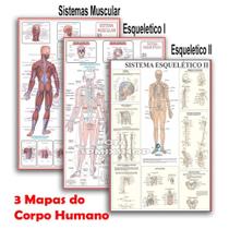 Kit 3 Mapas - Sistema Muscular - Esquelético 1 - Esquelético 2 - 120x90cmv