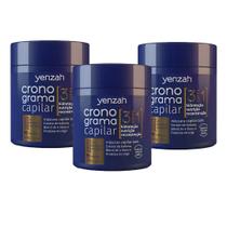Kit 3 Mascara Cronograma Capilar 3 Em 1 Todos Os Tipos De Cabelo Vegano Yenzah 480g