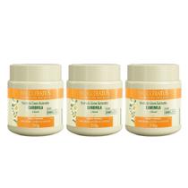 Kit 3 Máscara de Hidratação Capilar Camomila Girassol Banho de Creme Iluminador 250g Bio Extratus Kit 3 Máscara de Hidratação Capilar Camomila Girassol Banho de Creme Iluminador 250g Bio Extratus