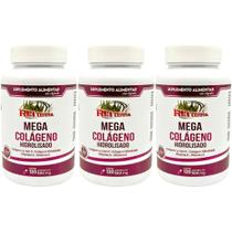Kit 3 Mega Colágeno - Colágeno Tipo 2 + Colágeno Hidrolisado + Vitamina C + Vitamina E Kit 3 Mega Colágeno - Colágeno Tipo 2 + Colágeno Hidrolisado + Vitamina C + Vitamina E
