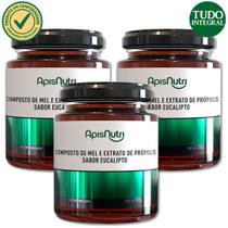 Kit 3 Mel Composto Própolis, Eucalipto, Gengibre e Romã 300g