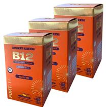 Kit 3 Metilcobalanina Vit B12 e Vit C sublingual Fortlife