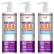 Kit 3 Modelando A Juba Widi Care Geleia Seladora Definição Dos Cachos 300g