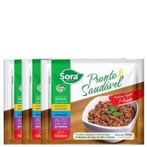 Kit 3 Molho de Carne Moída Sora Pronto e Saudável 250g