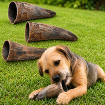 Kit 3 Mordedor Chifre Copinho Natural 100% Bovino Caes Pet
