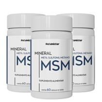 Kit 3 MSM Metilsulfonilmetano Em Pó Natunéctar 500mg 60 Cápsulas Sem Sabor