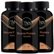Kit 3 Mucuna Pruriens 120 Capsulas 500mg Ethos Nutrition Kit 3 Mucuna Pruriens 120 Capsulas 500mg Ethos Nutrition