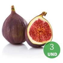 Kit 3 Mudas de Figo Negro ou Negrito Produzindo