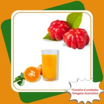 Kit 3 Mudas de Laranja Bahia Enxertada 3 Mudas de Pitanga