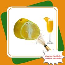 Kit 3 Mudas de Laranja Champanhe Enxertada Citrus Reticulata Citrus Sinensis.