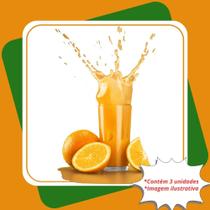 Kit 3 Mudas de Laranja Folha Murcha Enxertada Citrus Sinensis L. Osbeck.