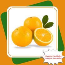 Kit 3 Mudas de Laranja Lima Enxertada Citrus Sinensis L. Osbeck.