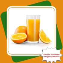 Kit 3 Mudas de Laranja Lima Sorocaba Enxertada Citrus Sinensis L. Osbeck.