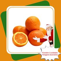 Kit 3 Mudas de Laranja Natal Enxertada Citrus sinensis L. Osbeck.