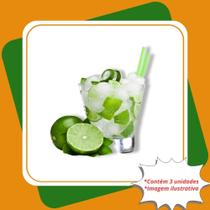 Kit 3 Mudas de Limão Galego Enxertada Citrus Aurantifolia Christm. Swingle.