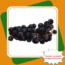 Kit 3 Mudas de Uva Isabel Enxertada Vitis Labrusca Isabel.