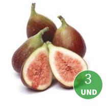 kit 3 Mudas figo Bronzeado clonado estaca-Raro