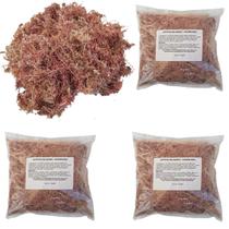 Kit 3 Musgos Sphagnum 5 Litros Substrato P/ Plantas Orquídea