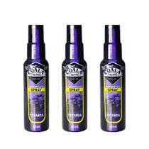 Kit 3 Odorizante Aromatizador Auto Spray Coala Lavanda 60ml