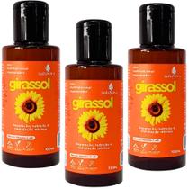 Kit 3 Óleo Capilar Natuseiva 100ml - Hidratação e Nutrição para Pele e Cabelos - Abacate, Uva, Mosqueta, Coco e Rícino