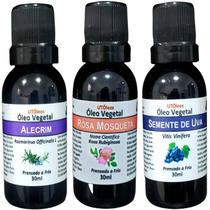 Kit 3 Oleo Vegetal de Alecrim, Semente de Uva, Rosa Mosqueta Kit 3 Oleo Vegetal de Alecrim, Semente de Uva, Rosa Mosqueta