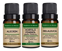 Kit 3 Óleos Essenciais 10ml - Alecrim, Hortelã, Melaleuca