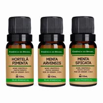 Kit 3 Óleos Essênciais de Menta Arvensis, Spicata, Piperita Kit 3 Óleos Essênciais de Menta Arvensis, Spicata, Piperita