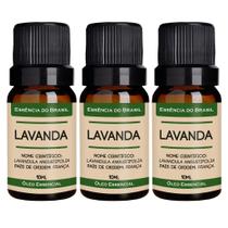 Kit 3 Óleos Essenciais Lavanda 10ml Orgânico, Natural e Puro