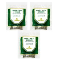 Kit 3 Pacote De Cebola Com Salsa E Tomate 30 Gramas - Chamel Kit 3 Pacote De Cebola Com Salsa E Tomate 30 Gramas - Chamel