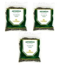 Kit 3 Pacotes De Chá Artemísia 30 Gramas - Chamel Kit 3 Pacotes De Chá Artemísia 30 Gramas - Chamel