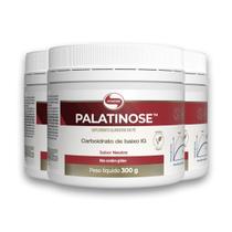 Kit 3 Palatinose Vegano Vitafor 300g Neutro