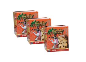 Kit 3 Panettone De Carne Cães Aves da Mata 80g