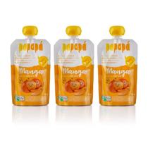 Kit 3 Papinha Papapá Orgânica Manga 300g Kit 3 Papinha Papapá Orgânica Manga 300g