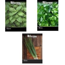 Kit 3 pcts sementes salsa cebolinha manjericão feltrin
