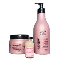 Kit 3 Peças Cabelos Danificado Poroso Ressecado Ponta Dupla Hidratação Reconstrução WF Renew 562ml