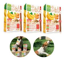 Kit 3 Petisco Fit Pet Banana Abobora Aveia 50g Spin