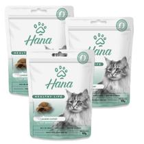 Kit 3 Petisco Hana Catnip Gato Petisco Adulto 60g