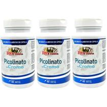 Kit 3 Picolinato De Cromo 180 Cápsulas - Rei Terra