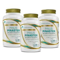 KIt 3 Pinus Pinaster 200mg de Procianidinas 3x60 cps Flora Nativa KIt 3 Pinus Pinaster 200mg de Procianidinas 3x60 cps Flora Nativa