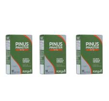 Kit 3 Pinus Pinaster 60 Comprimidos - Katigua