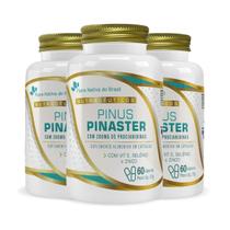 Kit 3 Pinus Pinaster com Vitamina E Selênio e Zinco 60 Cápsulas Flora Nativa
