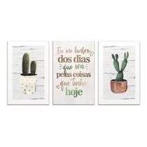 Kit 3 Placas Decorativas Cactos Frases Cozinha 20x30cm