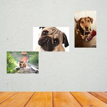 Kit 3 Placas Decorativas Cães MDF 3mm 18x26 - Brothers Mineiros Decor